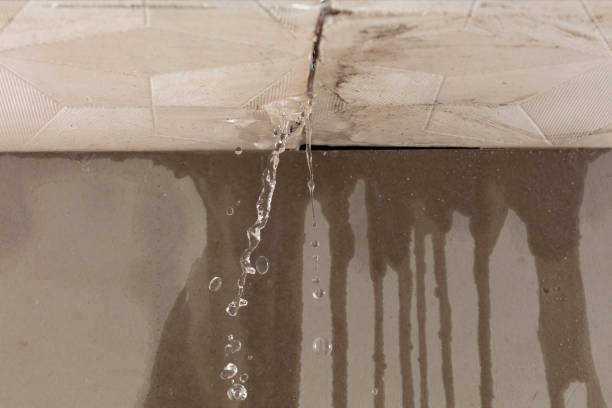 Professional Structural Drying technician working in Mexia, TX